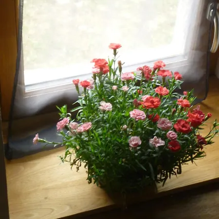 La Metairie بيت للعطل Montvalent